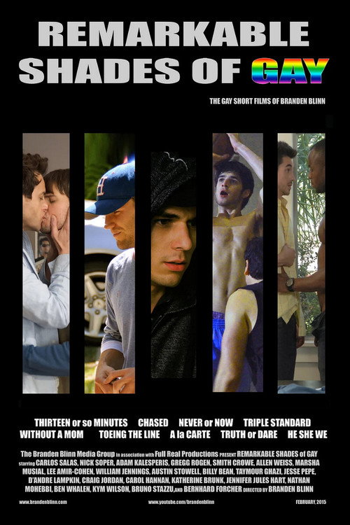 Movie poster for Remarkable Shades of Gay (2015)