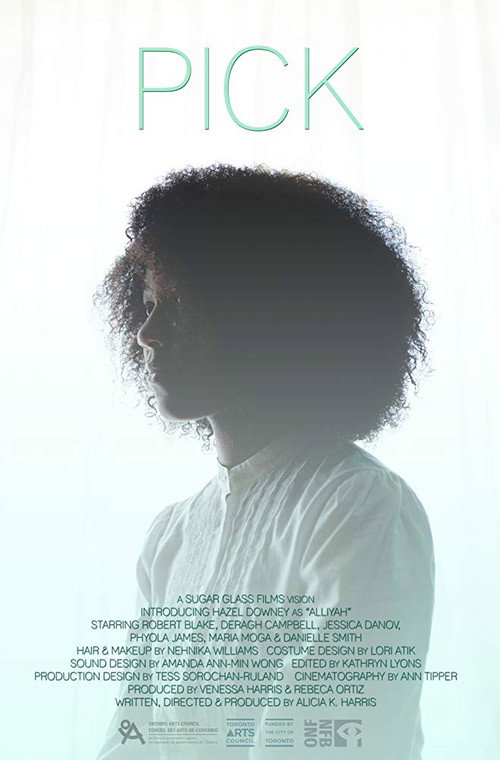 Movie poster for Pick (2019)