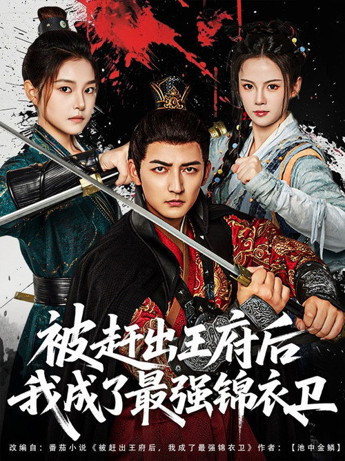 Series poster for 被赶出王府后我成了最强锦衣卫 (2025)