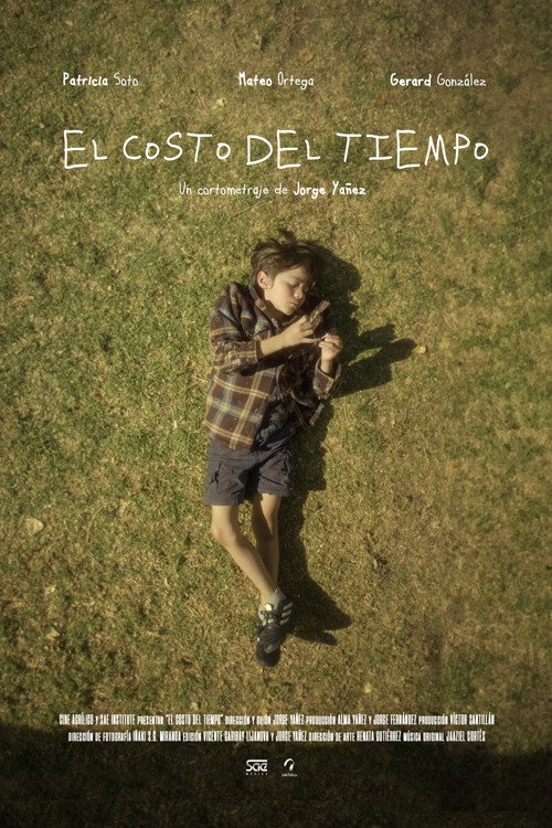 Movie poster for The cost of time