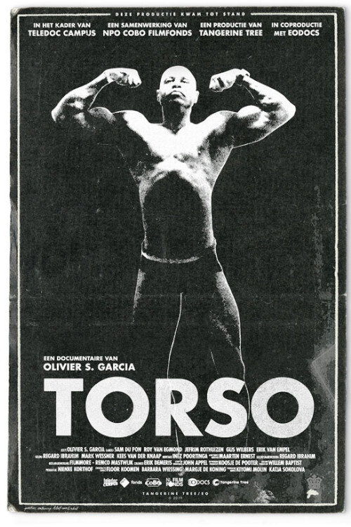 Movie poster for Torso (2018)