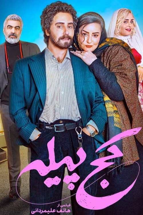 Movie poster for The Crooked Cocoon (2025)