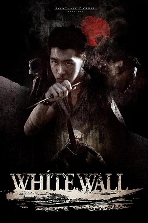 Movie poster for White Wall (2010)