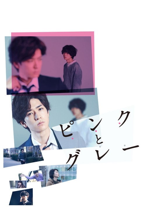 Movie poster for Pink and Gray (2016)