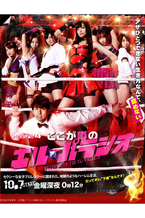 Welcome to the El-Palacio poster