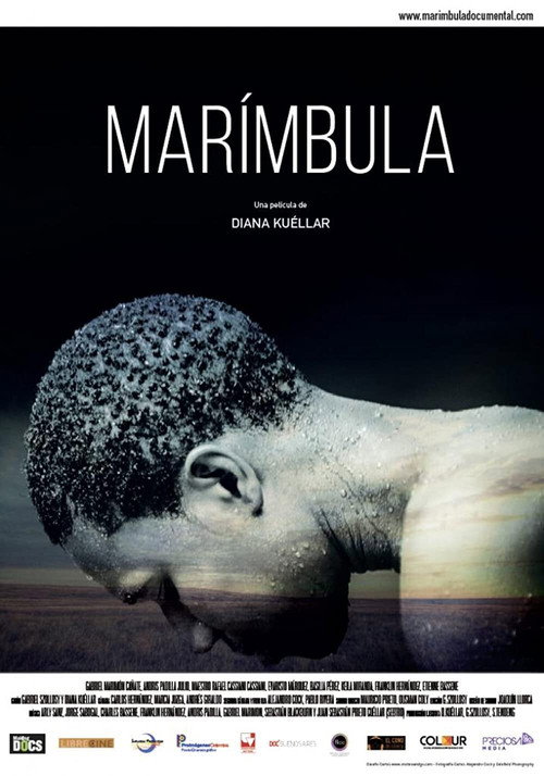 Movie poster for Marímbula (2016)