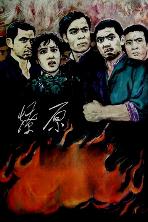 Movie poster for 燎原 (1962)