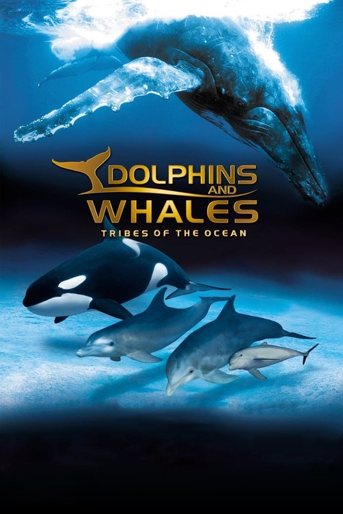 Movie poster for IMAX Dolphins and Whales: Tribes of the Ocean (2008)
