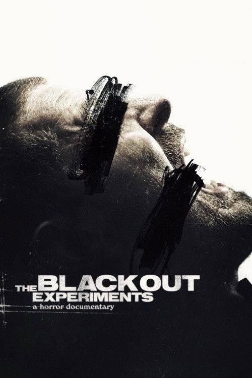 Movie poster for The Blackout Experiments (2016)