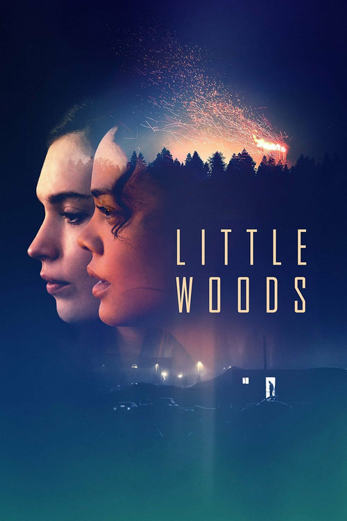 Movie poster for Little Woods (2019)