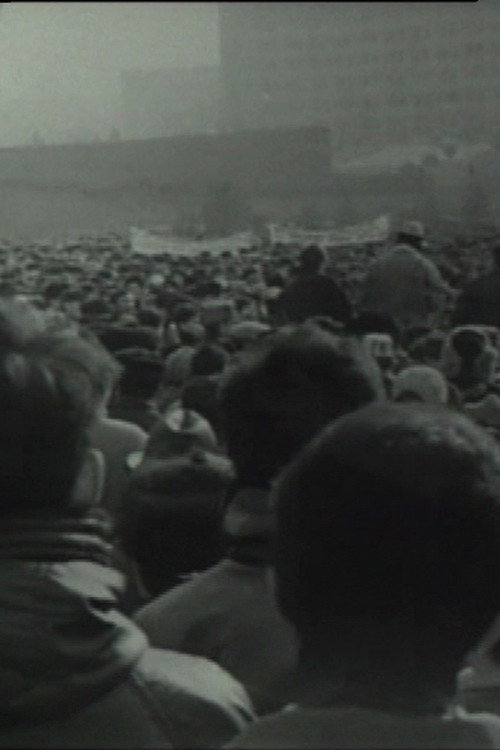 Movie poster for Chronicle of an Undeclared Demonstration (1991)