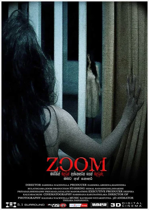Movie poster for ZOOM (2016)