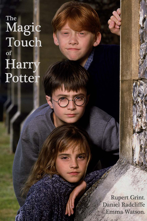 Movie poster for The Magic Touch of Harry Potter (2004)