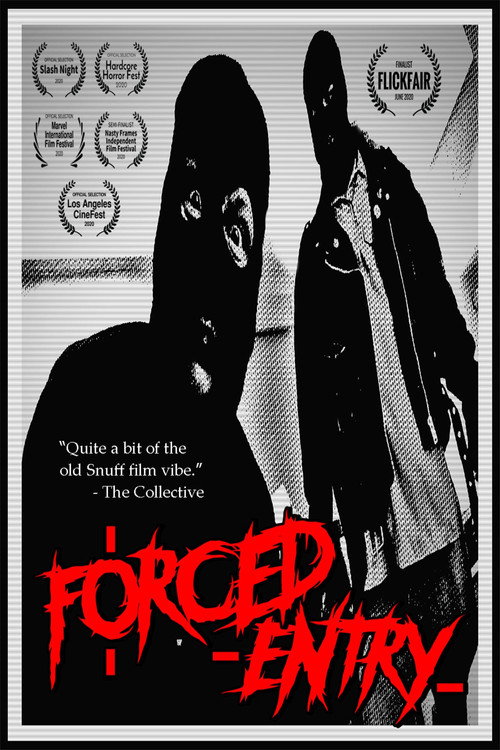 Movie poster for Forced Entry (2020)
