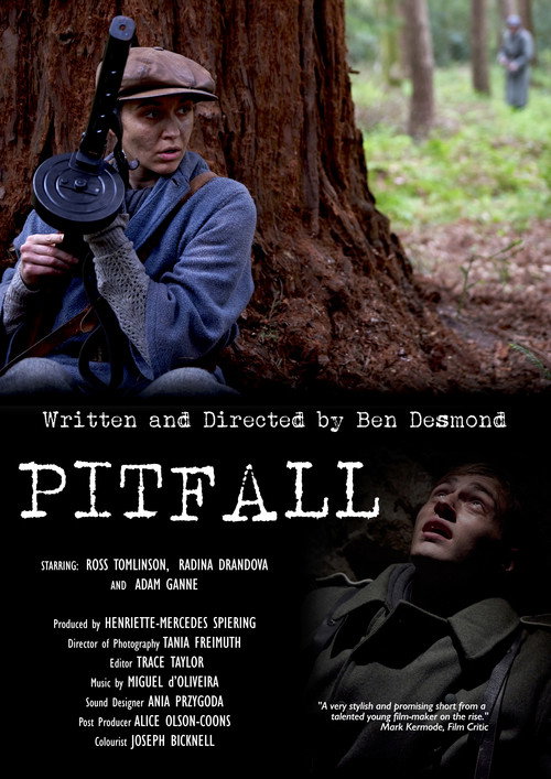 Movie poster for PITFALL (2017)