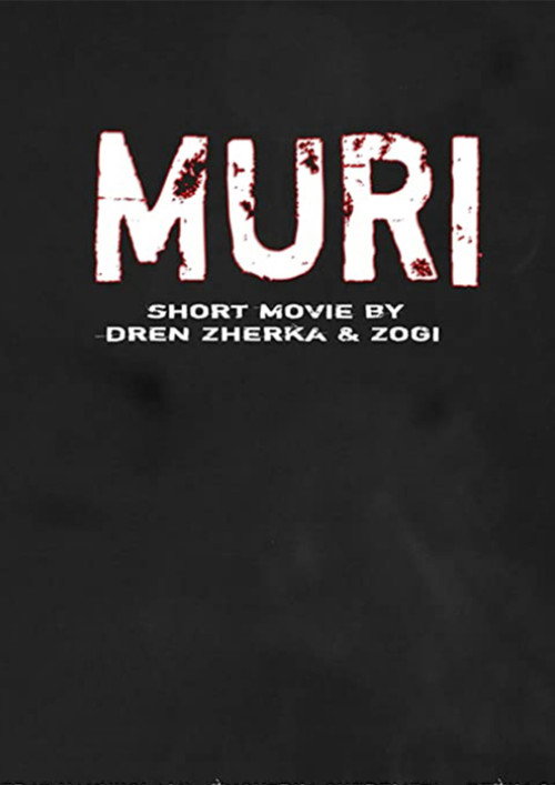 Movie poster for The Wall (2009)
