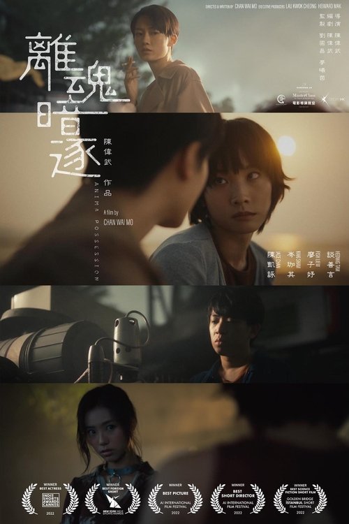 Movie poster for Anima Possession (2022)