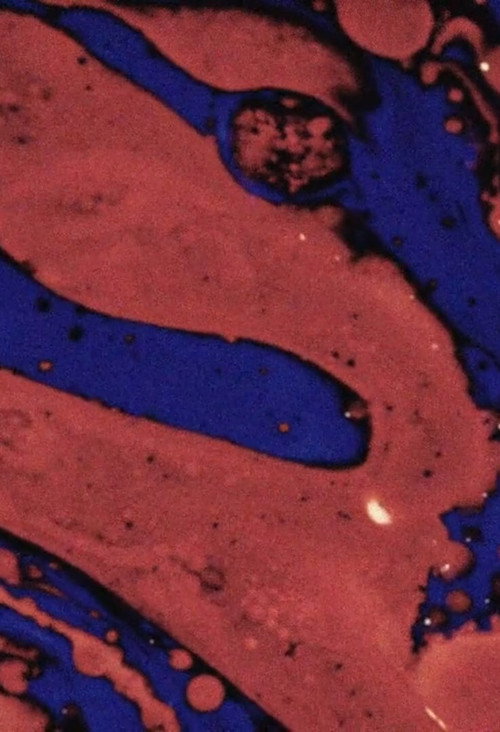 Movie poster for THE BLUE NAIVE AND THE RED BEAST (2020)
