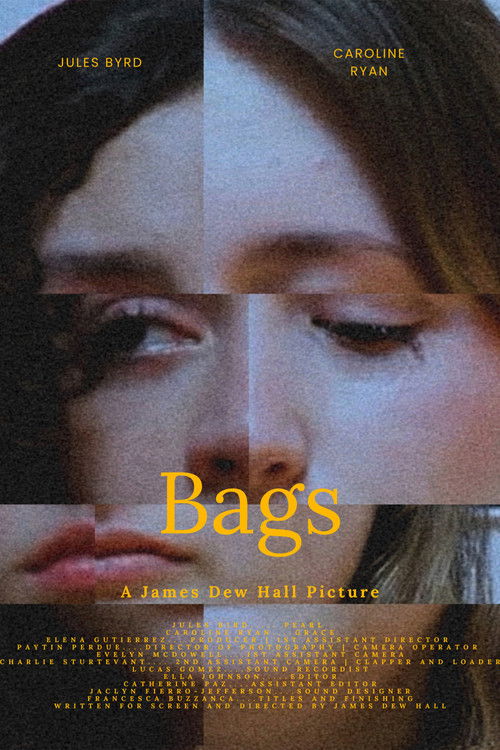 Bags poster