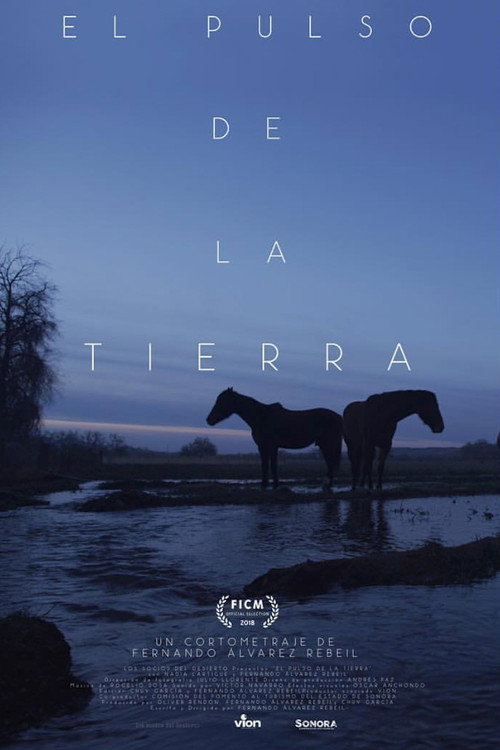 Movie poster for The Pulse of the Land (2018)