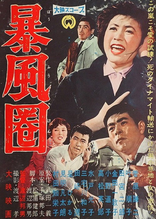 Movie poster for A Storm Zone (1959)