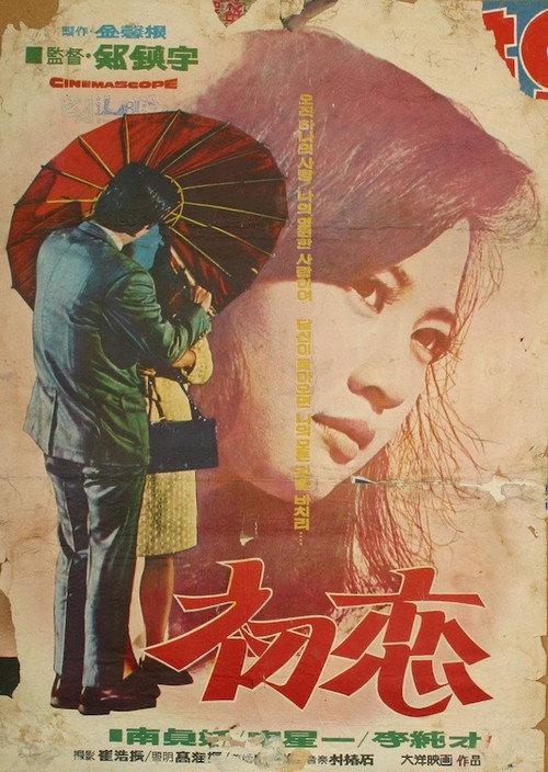 Movie poster for Gunsmoke (1966)