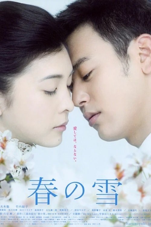 Movie poster for Spring Snow (2005)