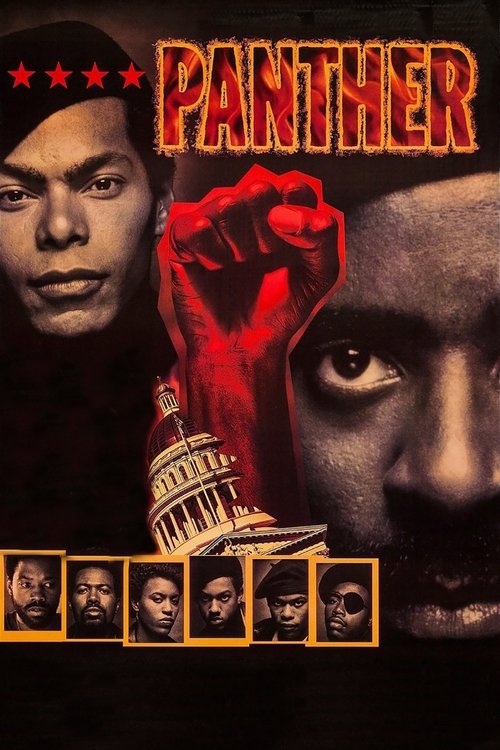 Movie poster for Panther (1995)