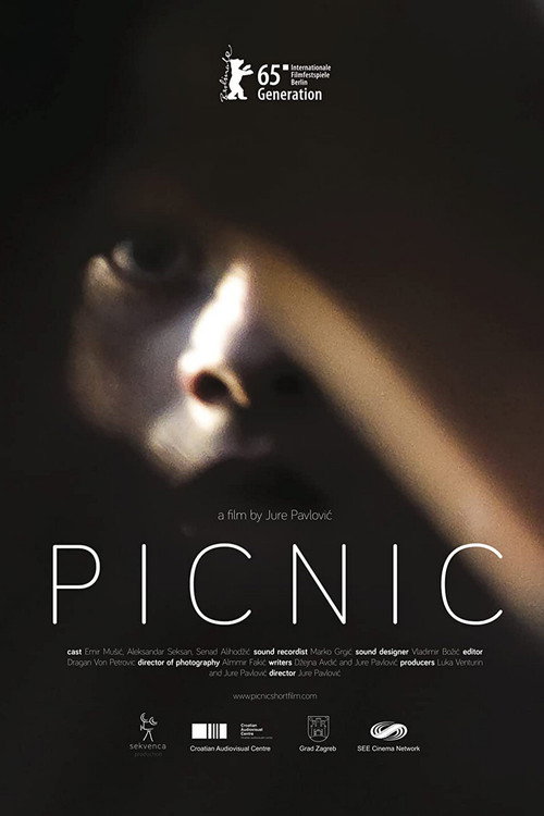 Movie poster for Picnic (2015)