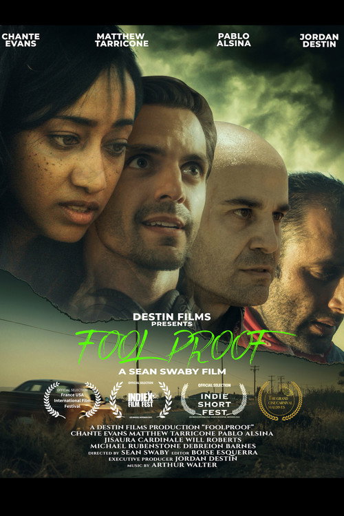Movie poster for Foolproof