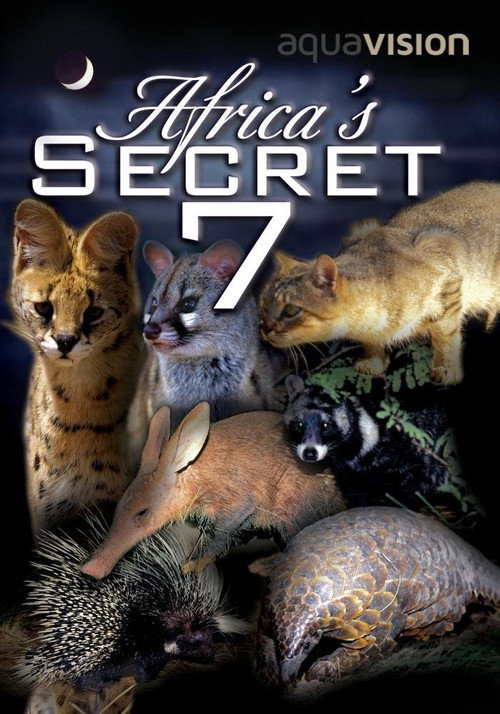 Movie poster for Africa's Secret Seven (2003)