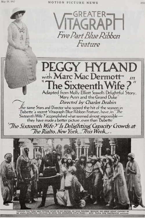 Movie poster for The Sixteenth Wife (1917)