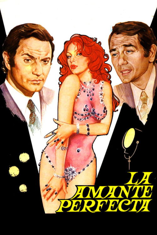 Movie poster for The Perfect Lover (1976)