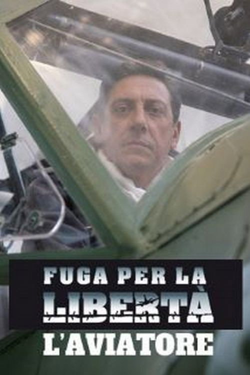 Movie poster for Fuga per la libertà - L'aviatore (2008)