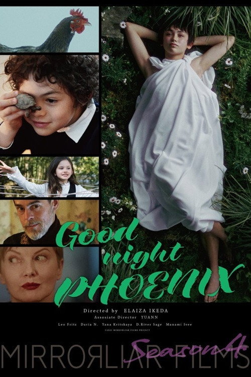 Movie poster for Good night PHOENIX (2022)