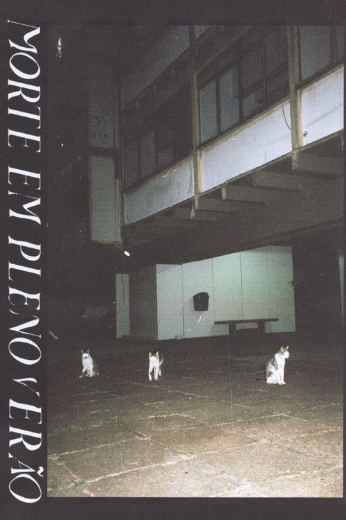 Movie poster for Morte em pleno verão (2020)