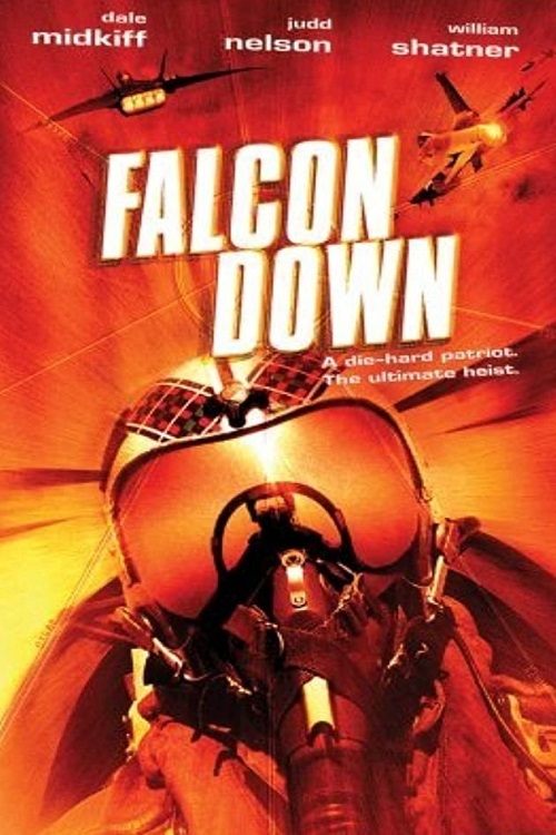 Movie poster for Falcon Down (2001)