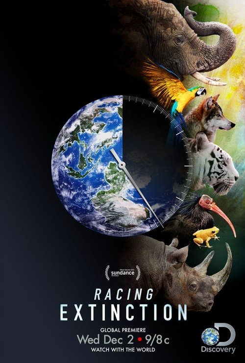 Movie poster for Racing Extinction (2015)