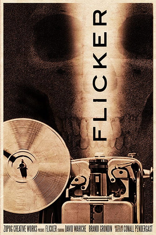 Movie poster for Flicker (2002)