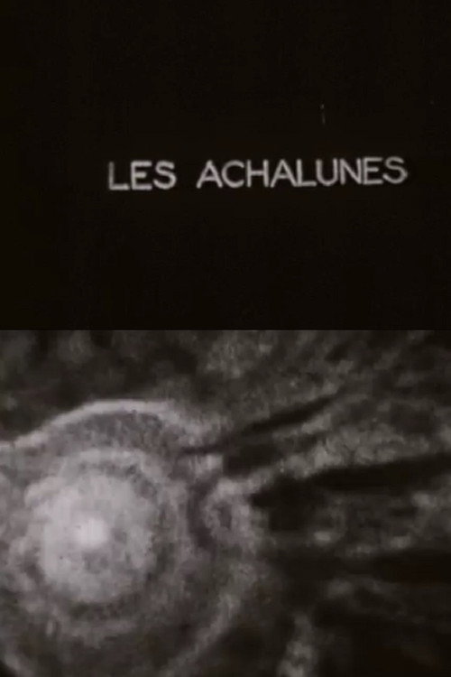 Movie poster for The Achalunés (1959)