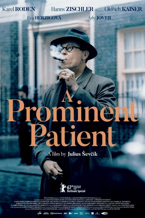 Movie poster for A Prominent Patient (2017)