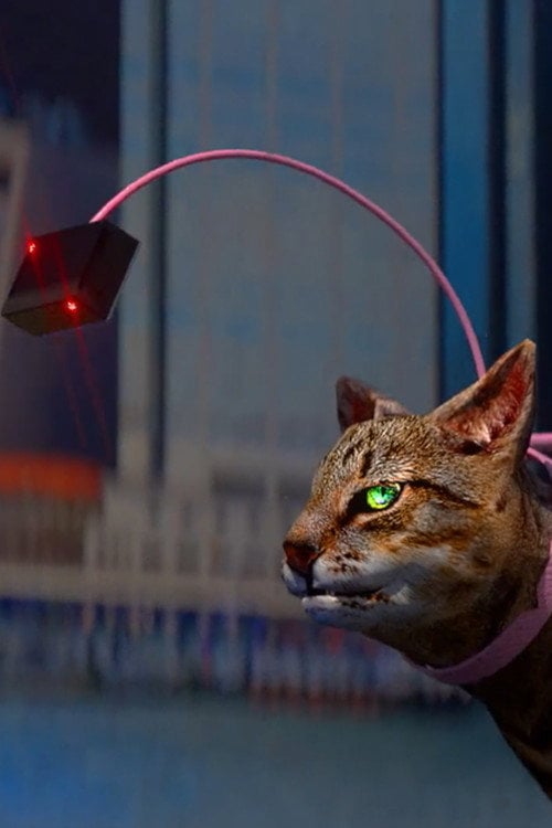 Movie poster for Catwalker and the Catwalker’s Intern (2018)