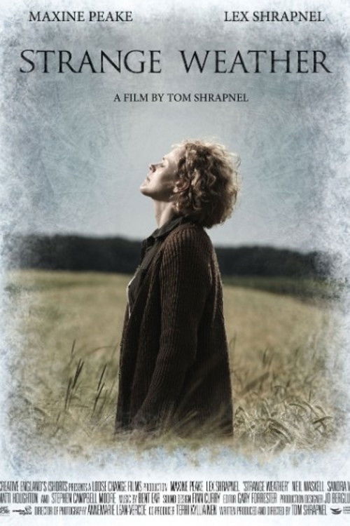 Movie poster for Strange Weather (2015)