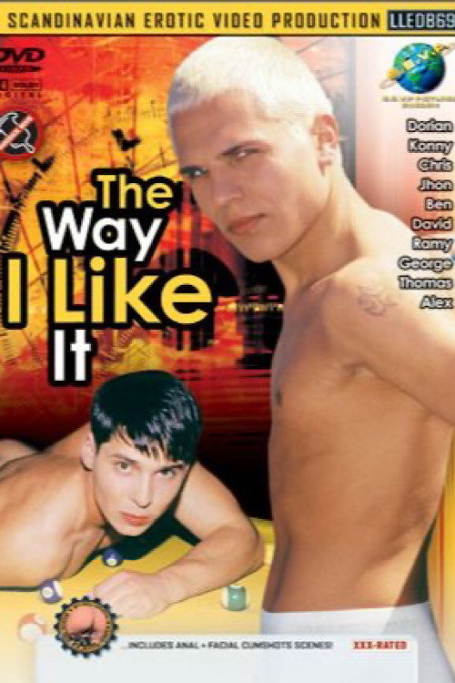 Movie poster for The Way I Like It (2004)