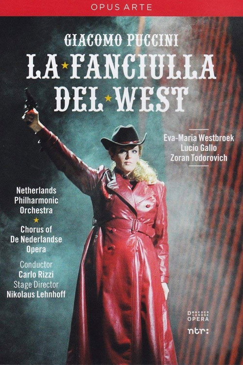 Movie poster for La Fanciulla Del West (2009)