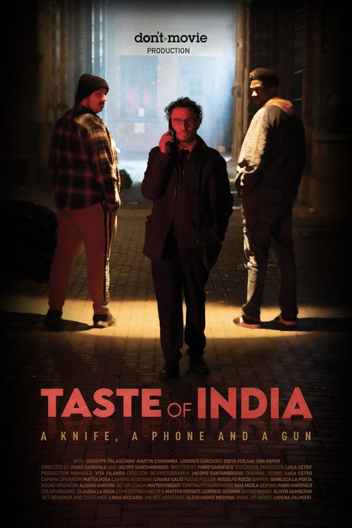 Movie poster for Taste of India (2025)
