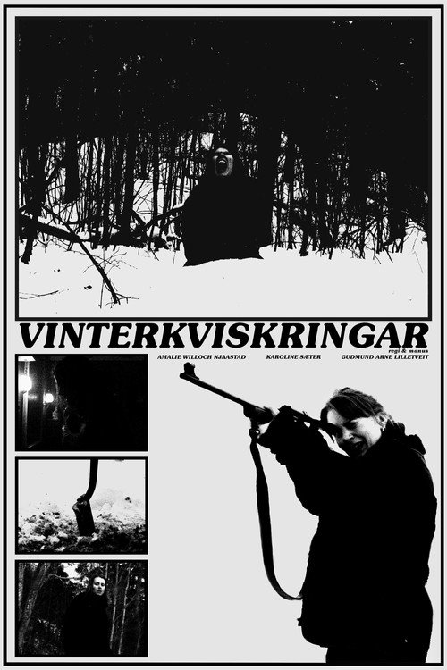 Movie poster for Vinterkviskringar