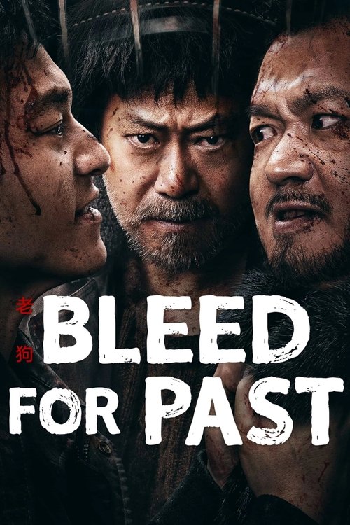 Movie poster for Bleed for Past (2025)