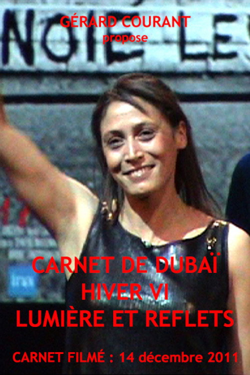 Movie poster for Dubai Winter Diary VI: Light and Reflections (2012)