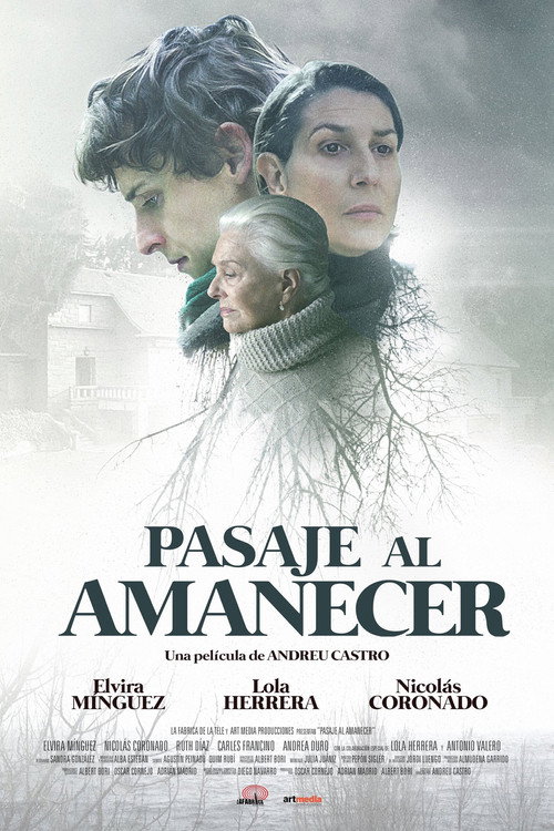 Movie poster for Pasaje al amanecer (2017)
